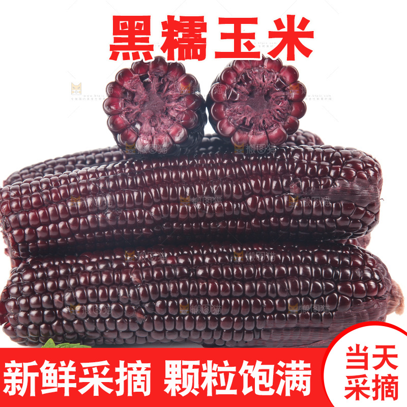 白底上的黑糯玉米