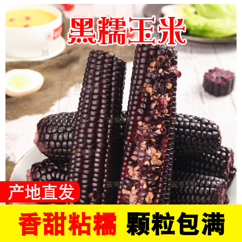 浅底上的黑糯玉米
