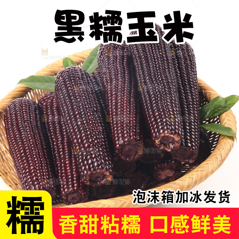 白底上的黑糯玉米