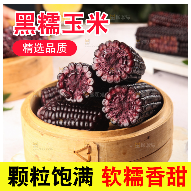 浅底上的黑糯玉米