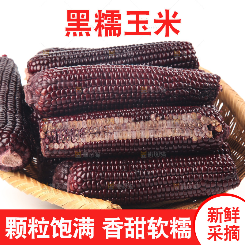 白底上的黑糯玉米