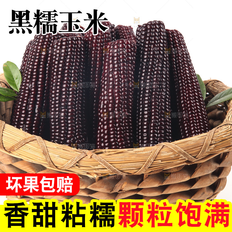 白底上的黑糯玉米
