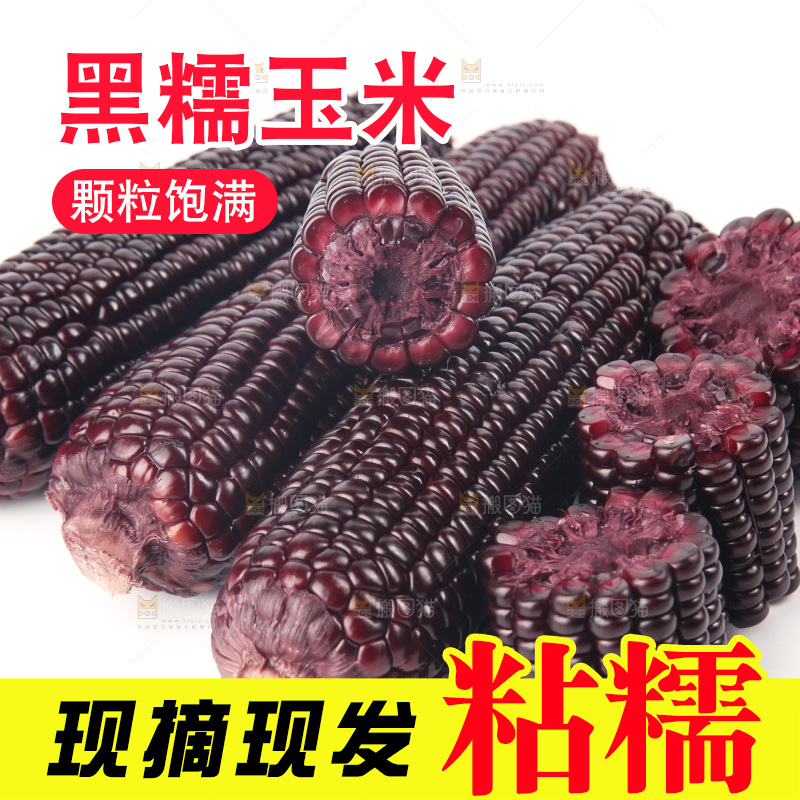 白底上的黑糯玉米