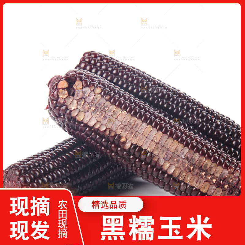 白底上的黑糯玉米