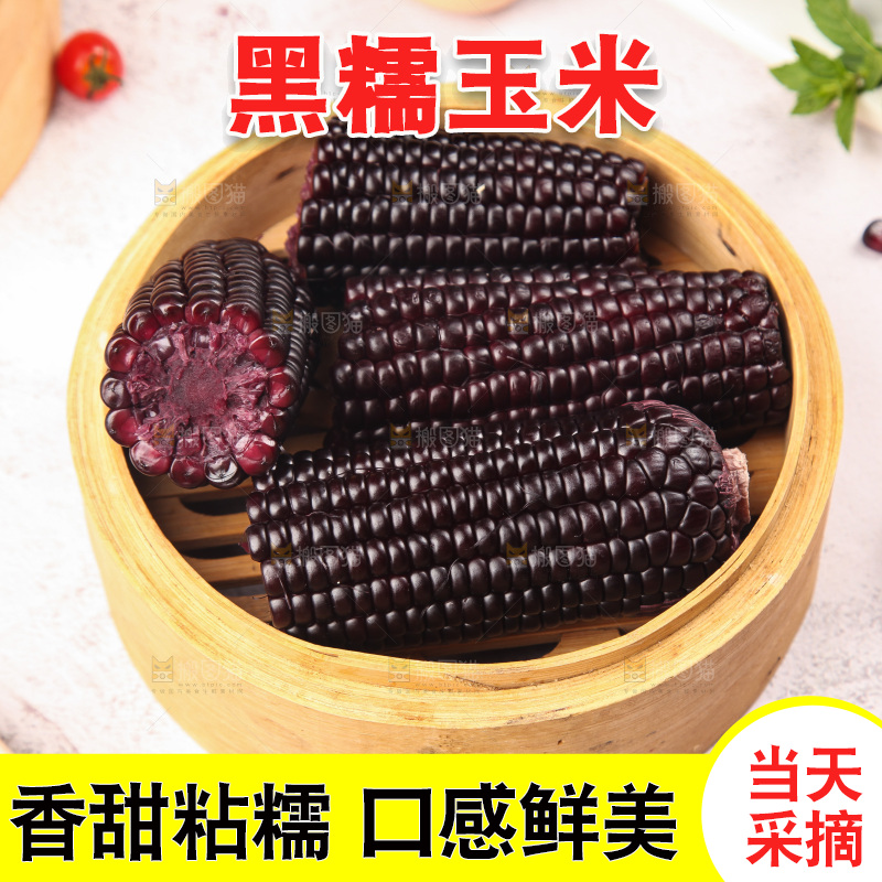 浅底上的黑糯玉米