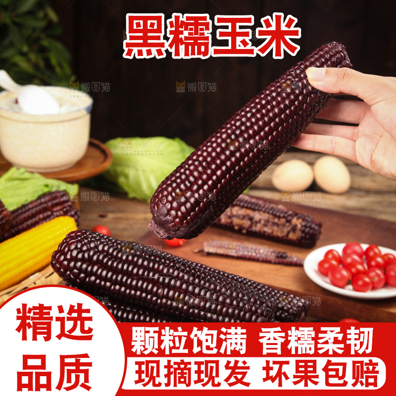 木底上的黑糯玉米