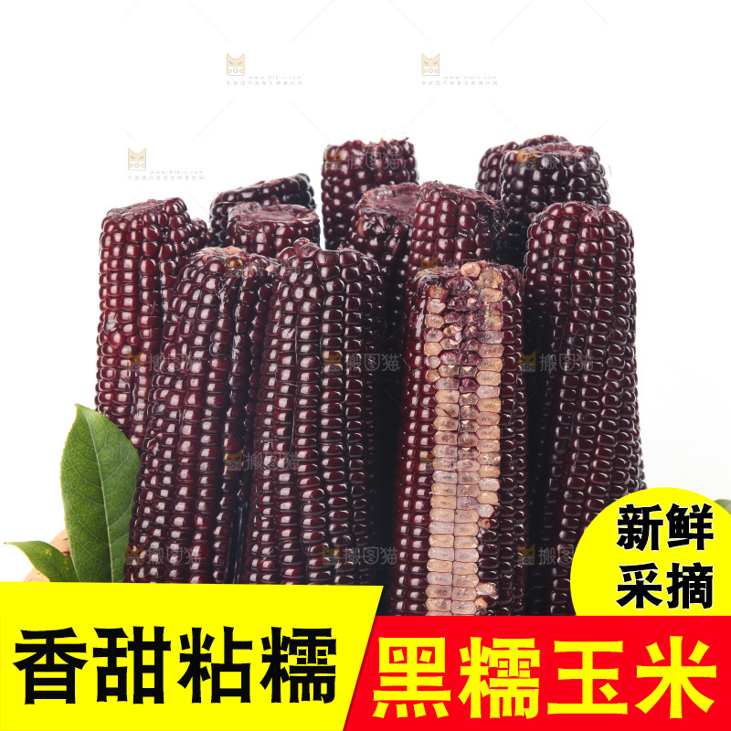 白底上的黑糯玉米