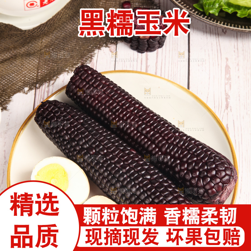 浅底上的黑糯玉米
