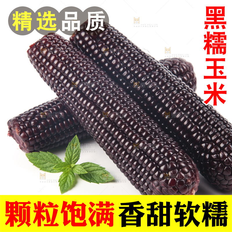 白底上的黑糯玉米