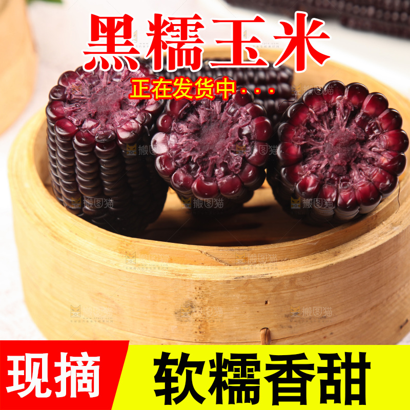 浅底上的黑糯玉米