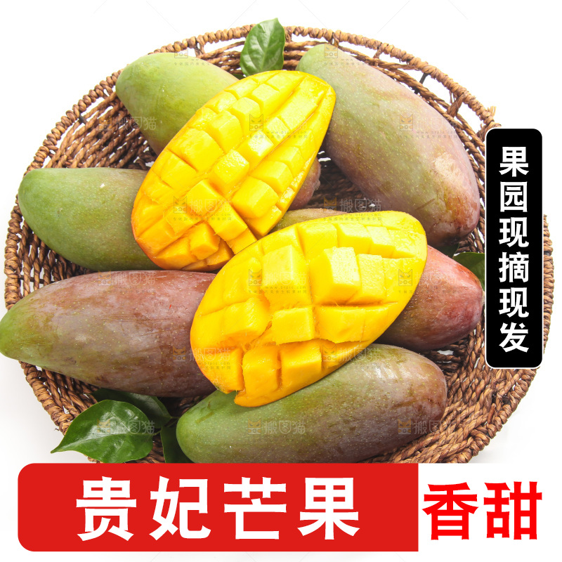 白底上的贵妃芒