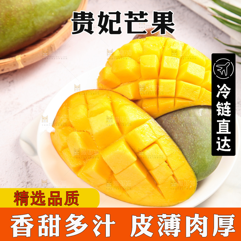 浅底上的贵妃芒