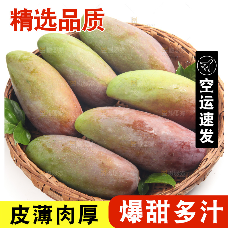 白底上的贵妃芒