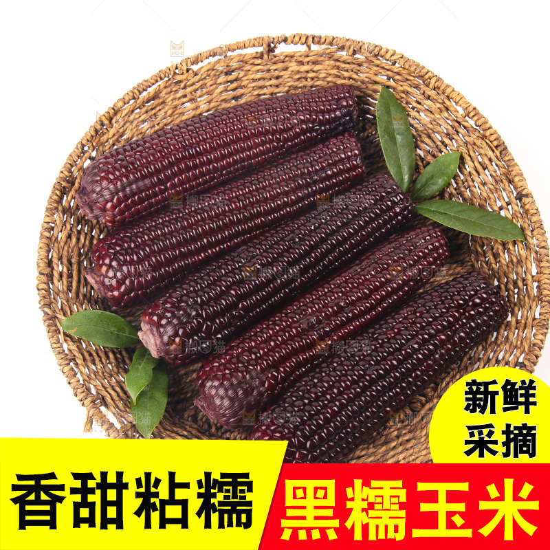 白底上的黑糯玉米