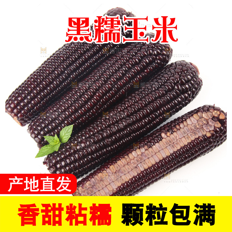 白底上的黑糯玉米