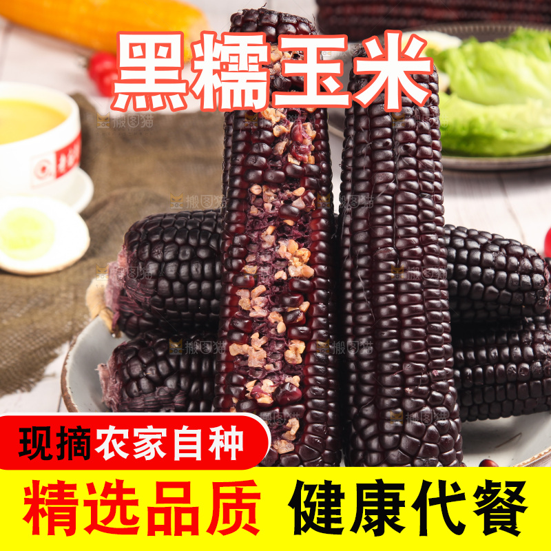 浅底上的黑糯玉米