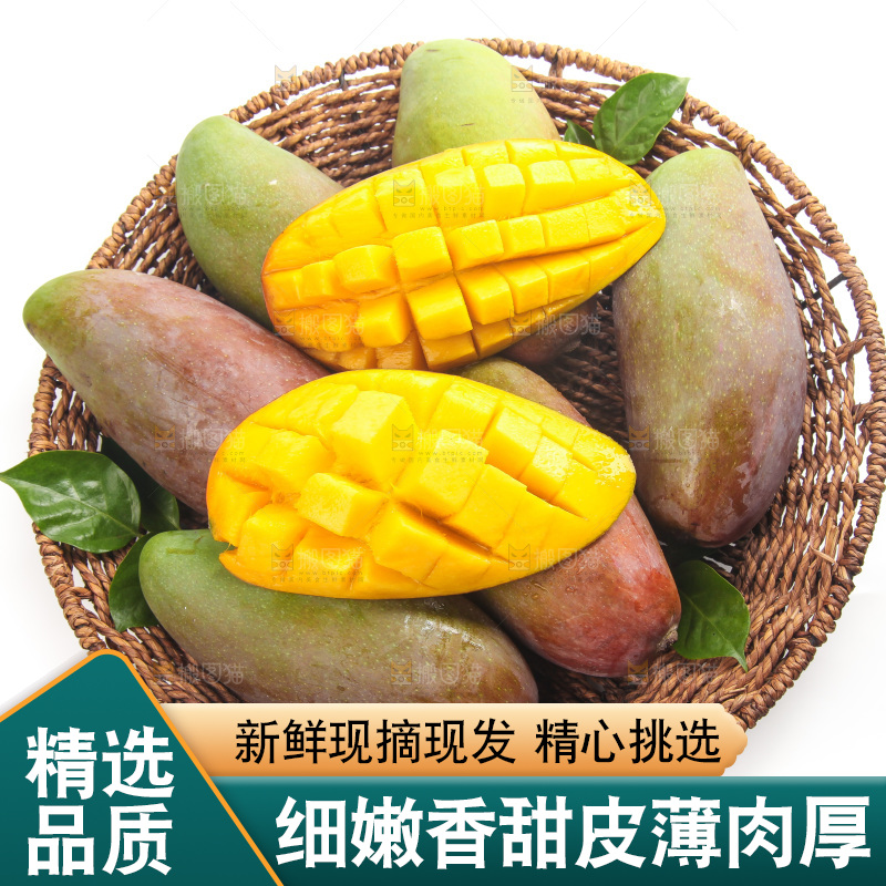 白底上的贵妃芒