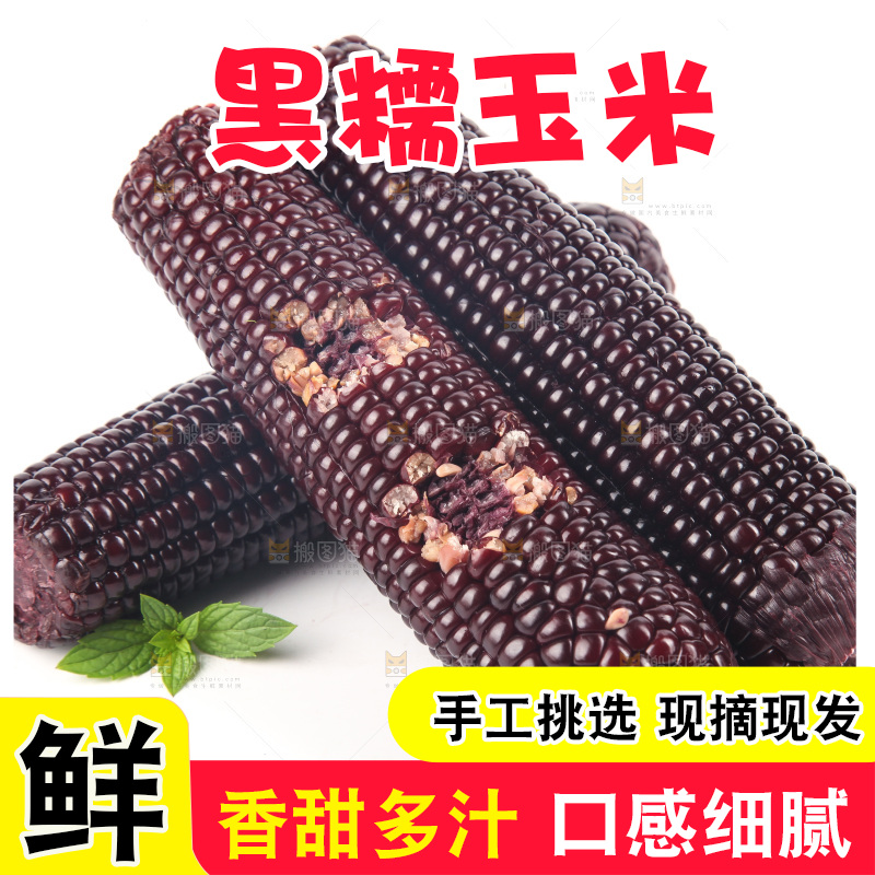 白底上的黑糯玉米