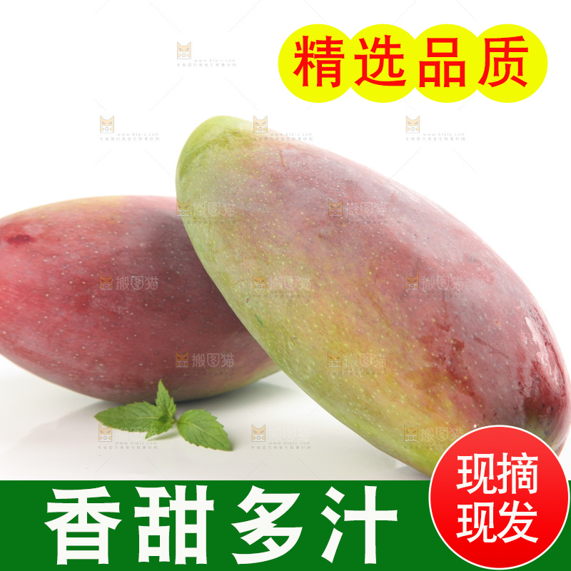 白底上的贵妃芒