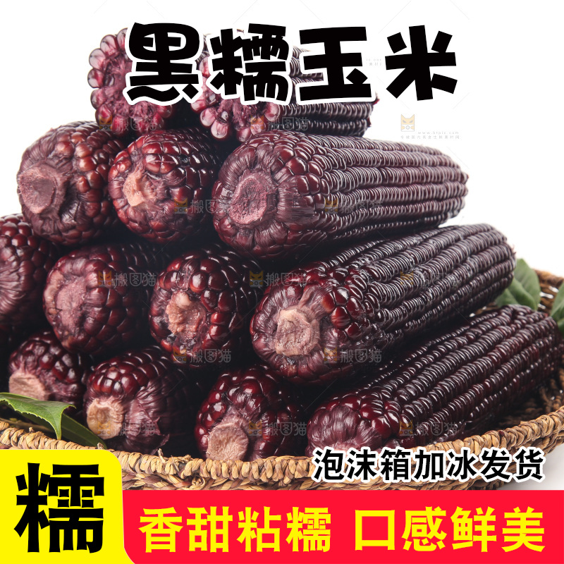 白底上的黑糯玉米