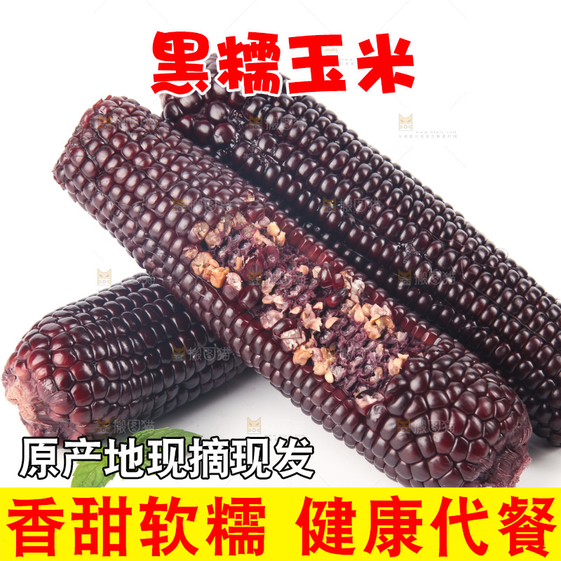 白底上的黑糯玉米
