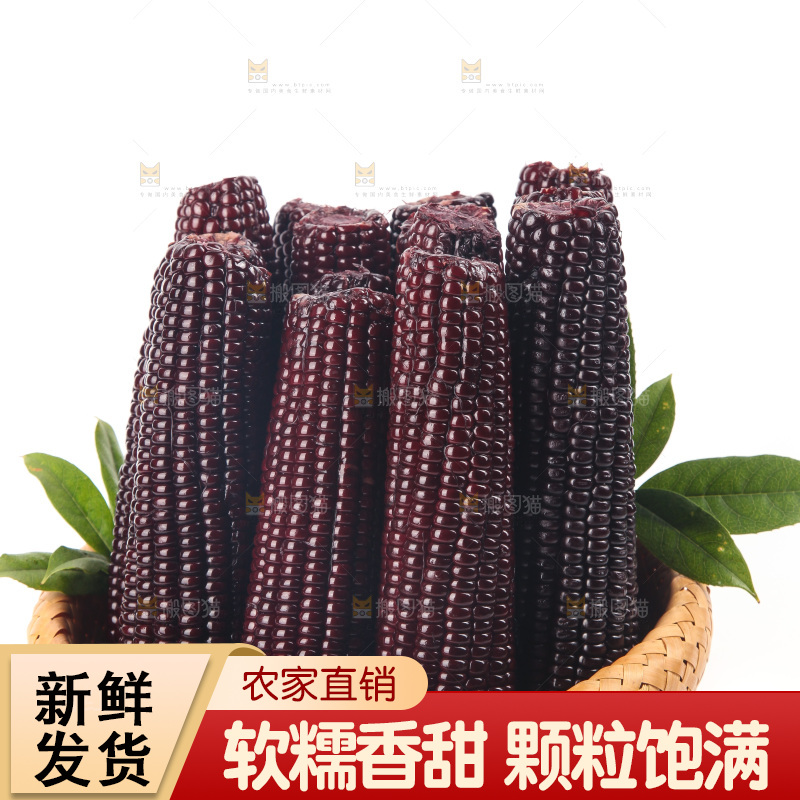 白底上的黑糯玉米