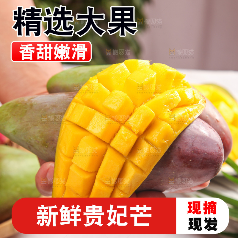 浅底上的贵妃芒