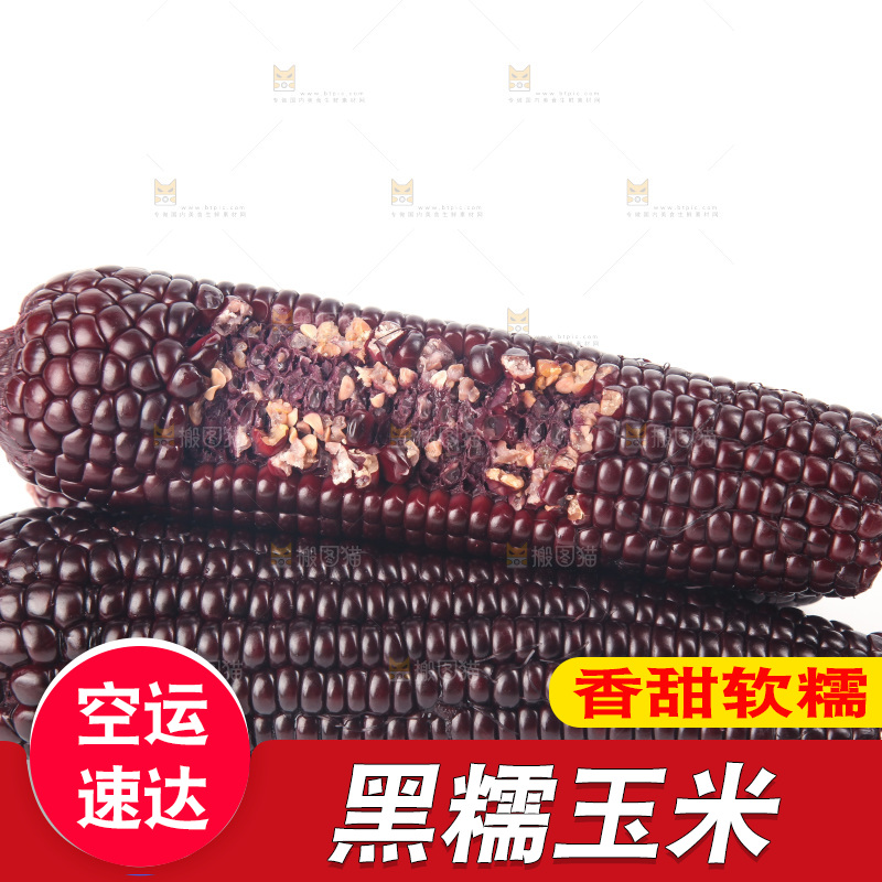 白底上的黑糯玉米