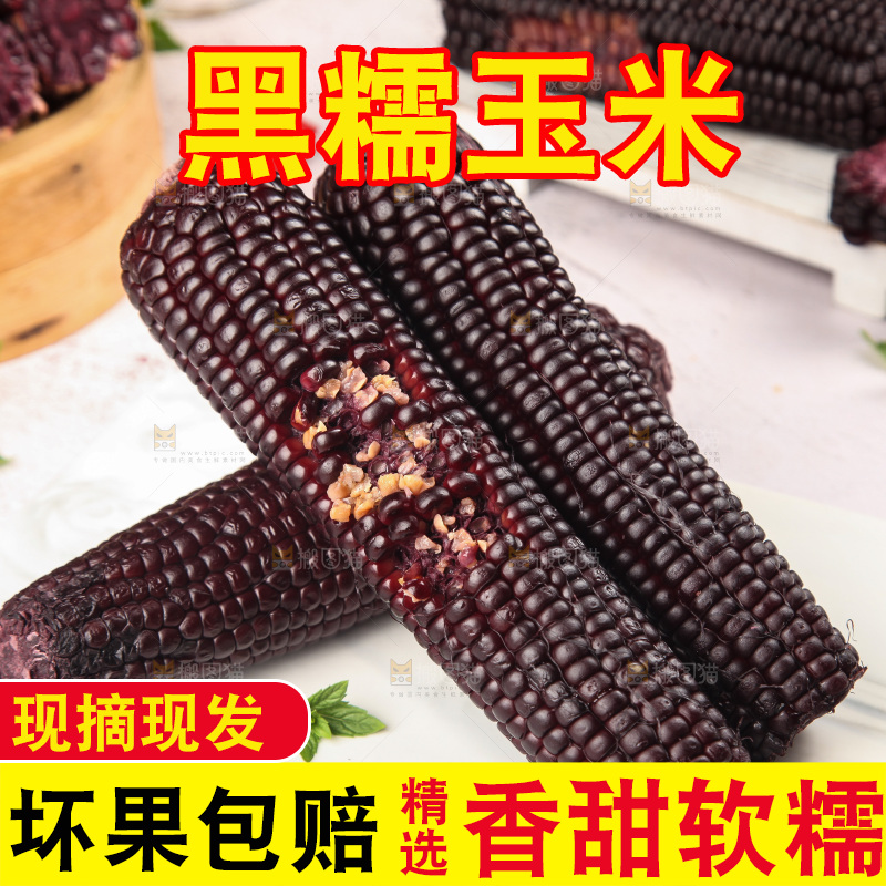 浅底上的黑糯玉米