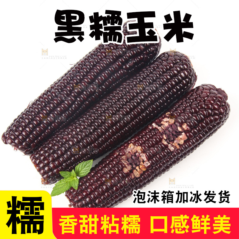 白底上的黑糯玉米