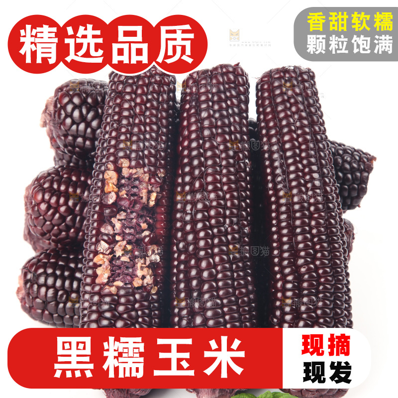 白底上的黑糯玉米
