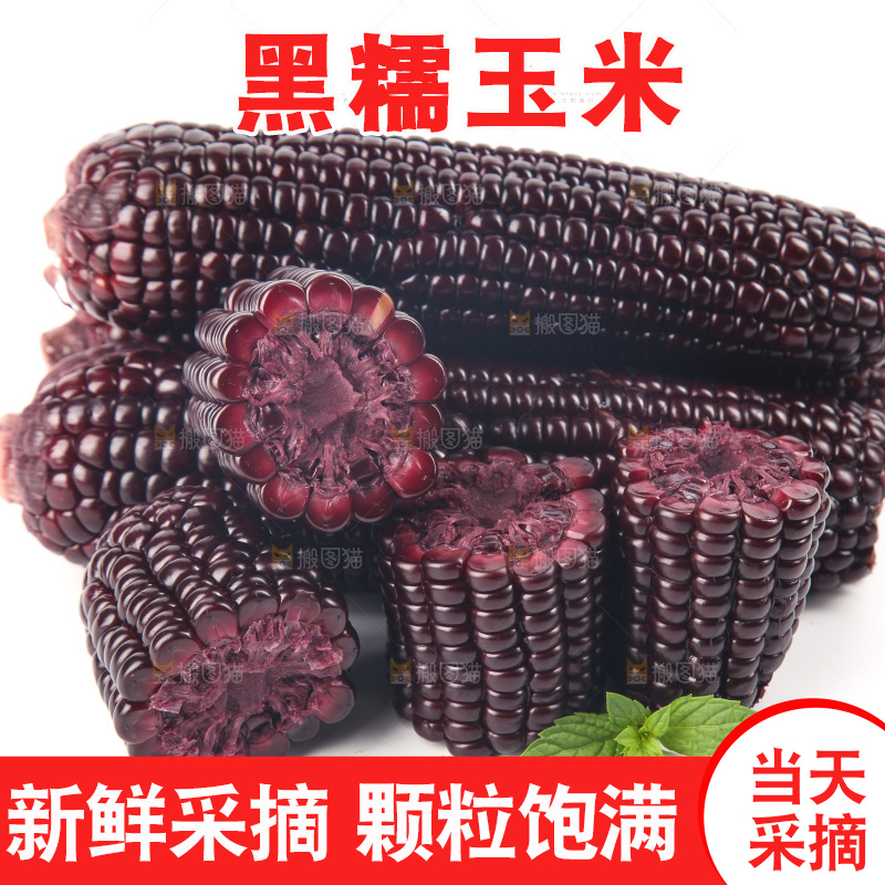 白底上的黑糯玉米