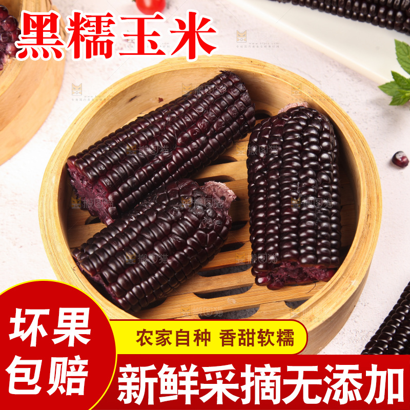 浅底上的黑糯玉米