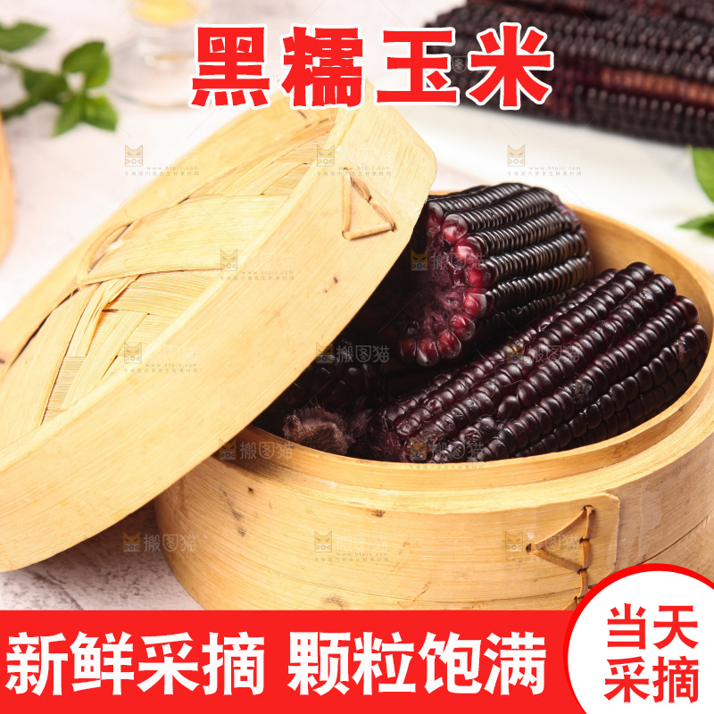 浅底上的黑糯玉米