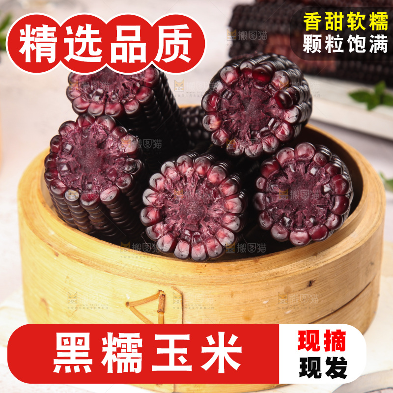 浅底上的黑糯玉米