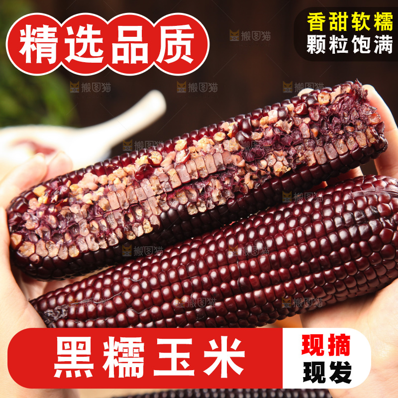木底上的黑糯玉米