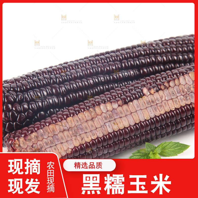 白底上的黑糯玉米