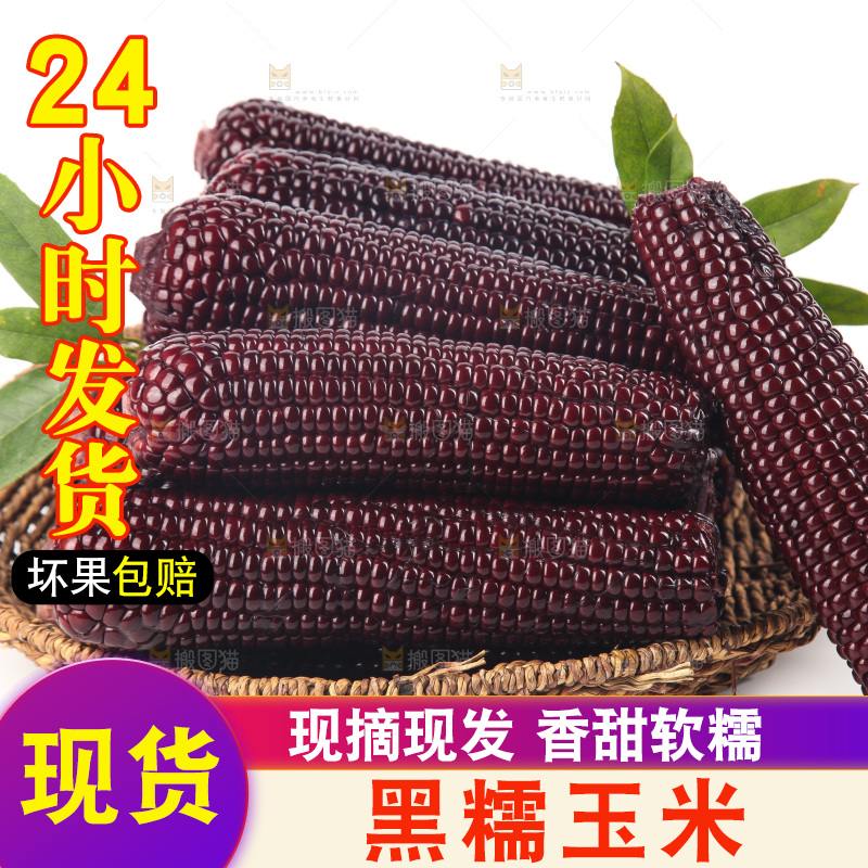 白底上的黑糯玉米
