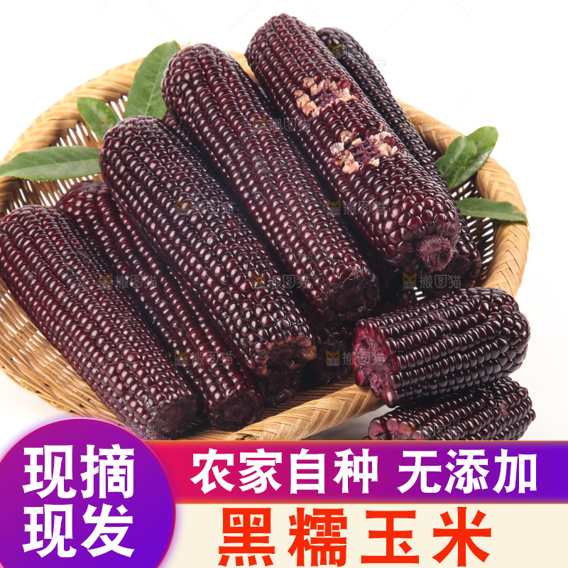 白底上的黑糯玉米