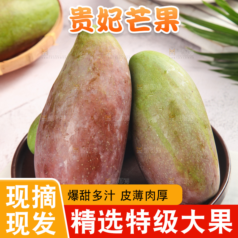 浅底上的贵妃芒