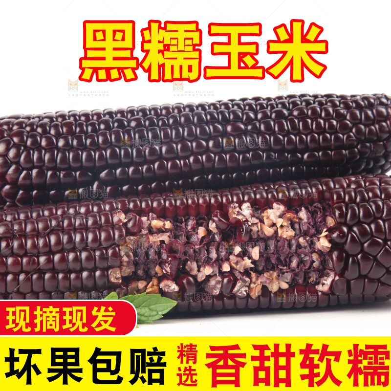 白底上的黑糯玉米
