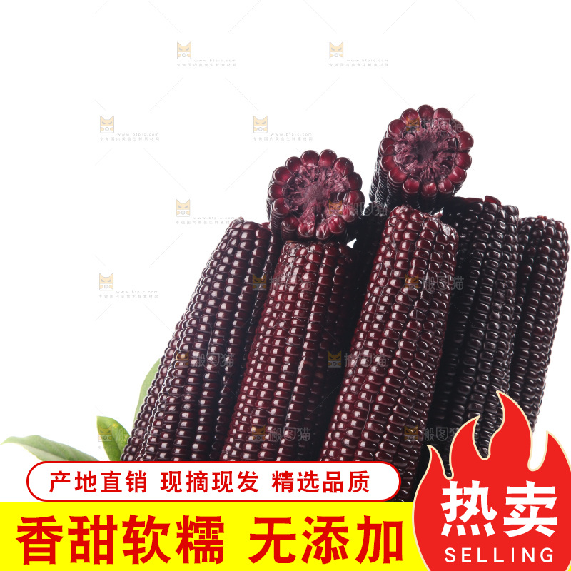 白底上的黑糯玉米
