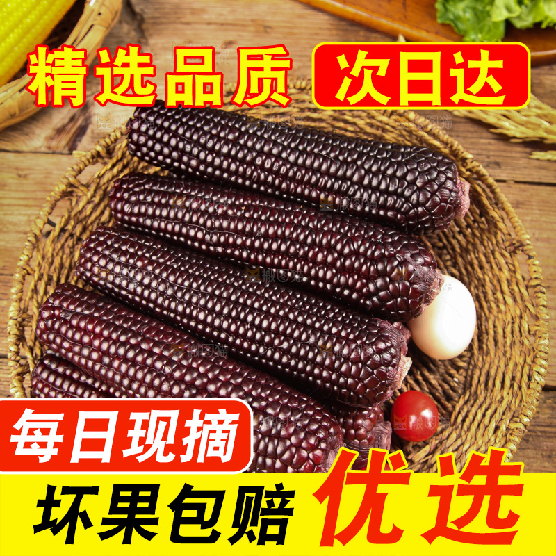 木底上的黑糯玉米