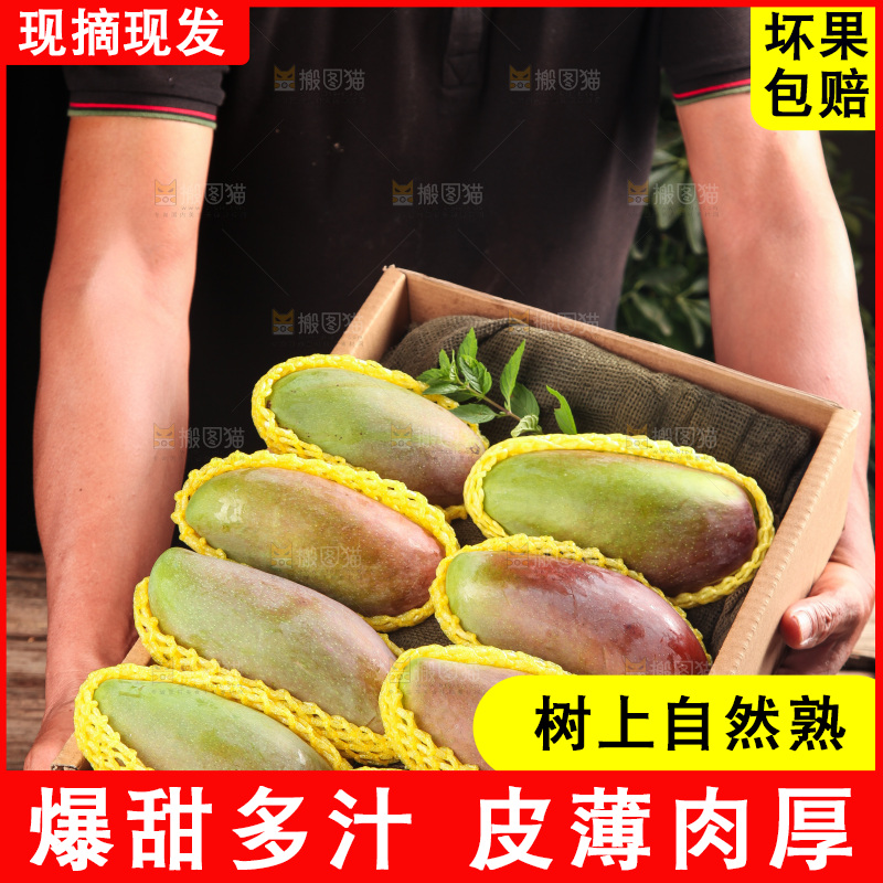 手里拿着贵妃芒