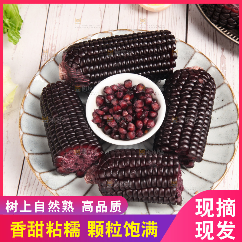 浅底上的黑糯玉米