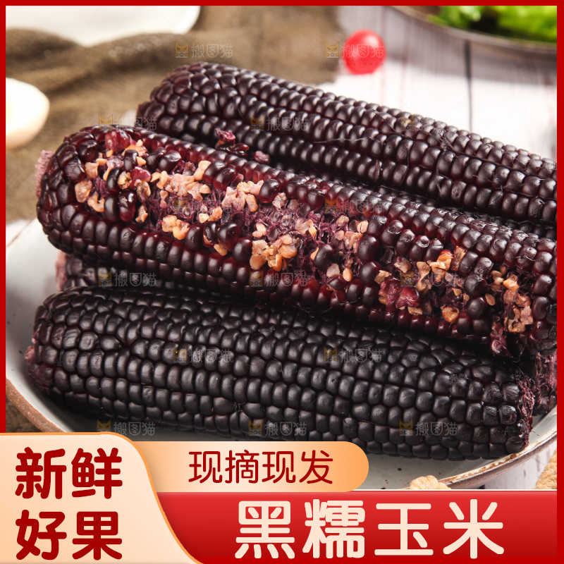 浅底上的黑糯玉米