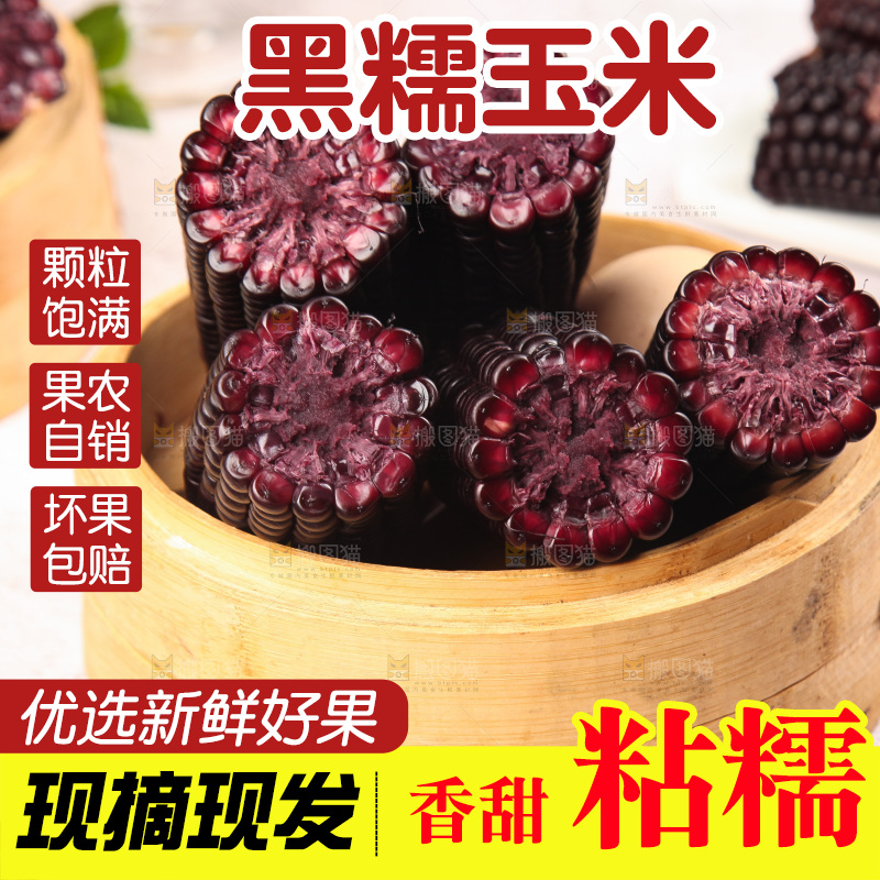 浅底上的黑糯玉米