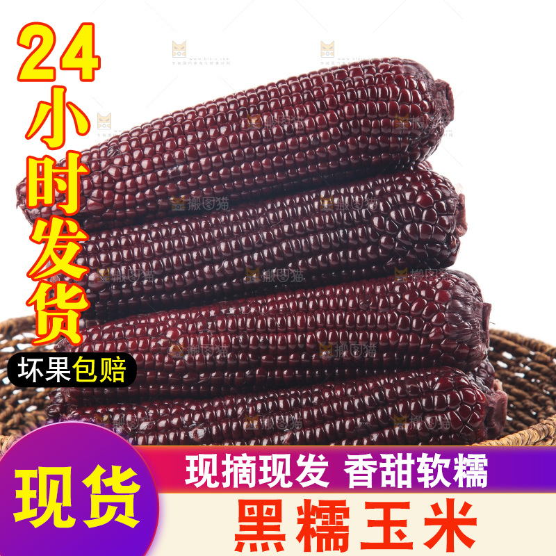 白底上的黑糯玉米