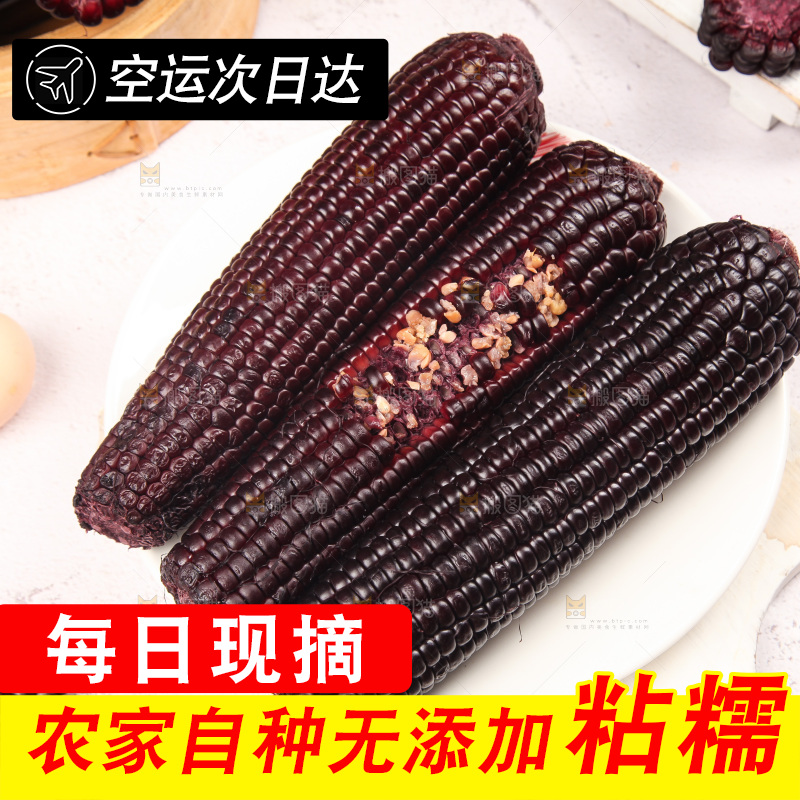 浅底上的黑糯玉米