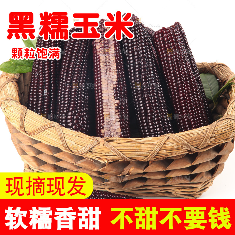 白底上的黑糯玉米
